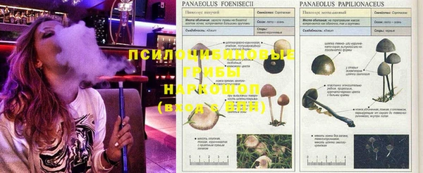 мескалин Абинск