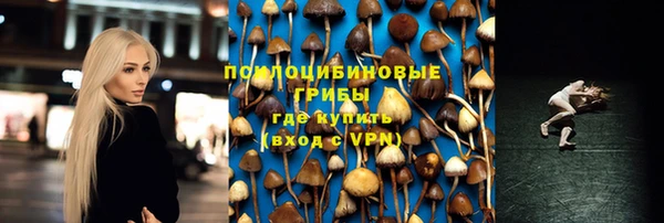 спиды Абдулино